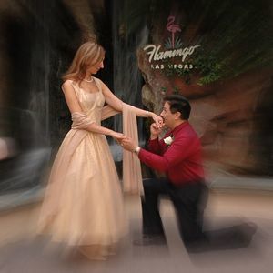 Meet your Posher, Alfred